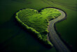 Aerial view of fileld in Form of Heart,