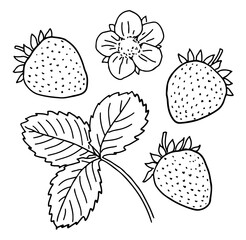 Wall Mural - Hand-drawn strawberry