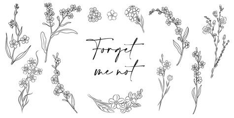 Set of Forget me not flower line art vector illustrations. Myosotis monochrome hand drawn black ink sketch isolated on white background. Modern minimalist design for tattoo, jewelry, logo, packaging.