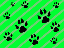 Black Paw Print Pattern Green Background. Illustration Design