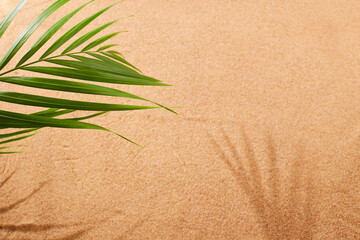 Wall Mural - Sandy beach, palm leaf. Natural sandy background. Top view.