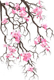 Fototapeta  - spring composition with a tree, pink flowers and water drops