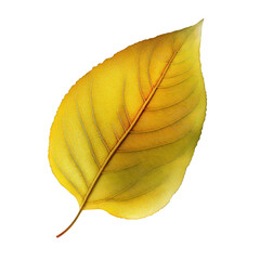Poster - A single yellow leaf stands out against a transparent background, its striking color and delicate veins capturing the essence of autumn.Generative AI