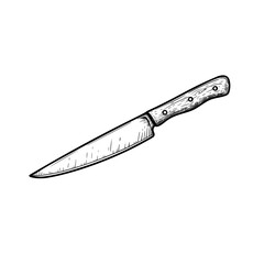 Utility knife with wooden handle. Butcher and kitchen utensil. Chef's tool. Hand drawn sketch style drawing. Vector illustration.