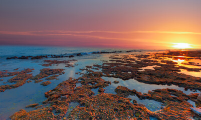 Wall Mural - Sea sunset with colorful moss on  the rocks