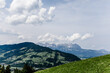 Berglandschaft in Tirol bei blauem Himmel mit grünen Wiesen