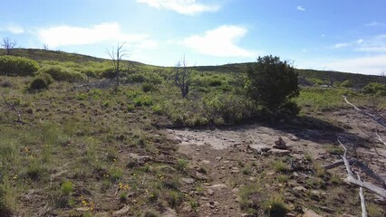 Wall Mural - Hiking Trail in Mesa Verde National Park