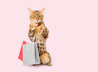 Bengal cat with shopping bags ready for discount