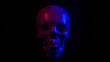 Skull Darkness 3d Render Background