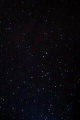 Wall Mural - natural organic dust particles floating on a sunbeam on black background. glittering sparkling flick