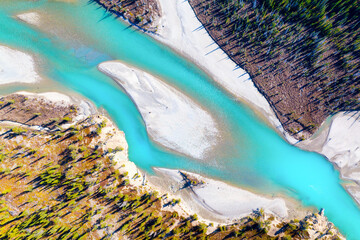 Wall Mural - Drone view of the river and forest in the glacier valley. View of the moraines. Landscape from the air.  River on a moraine. Landscape from drone. Abstract view for wallpaper.