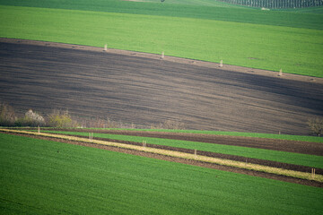 Wall Mural - Spring fields in South Moravia