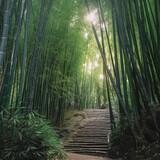 Fototapeta Las - Bamboo Forest, AI