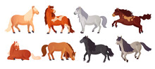 Ponies Breeding. Cartoon Cute Pony Shetland Breed, Farm Beautiful Little Horses With Child Tails, Kid Horse Lying Poni Animal Character, Isolated Ingenious Vector Illustration