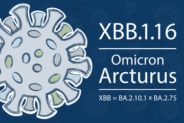 Wall Mural - A new coronavirus sub-variant XBB.1.16, also known as 