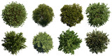 Fototapeta  - trees from above, collection of lush plants isolated on transparent background 