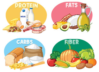 Wall Mural - main food groups macronutrients vector