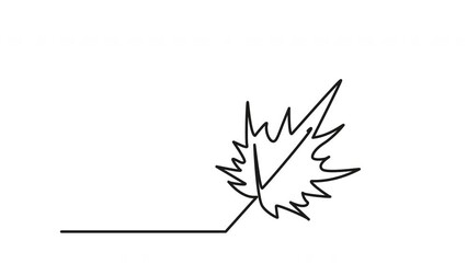 Wall Mural - Maple leaf outline self drawing animation. Line art. Luma matte.