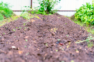 A bed prepared for planting plants close-up