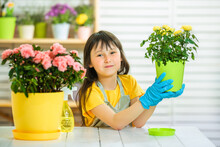Caring For Houseplants. Child Playing In The Gardener. The Child Holds A Pot With A Yellow Rose In His Hands. In The Foreground Is A Large Bush Of Pink Azalea In A Yellow Pot.