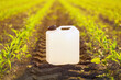 © Bits and Splits - Blank white herbicide canister can in corn seedling field in springtime sunset