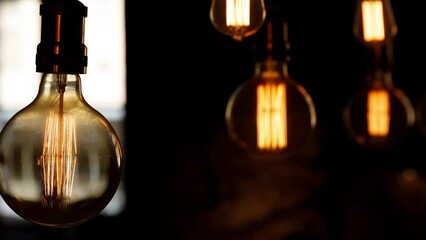Poster - decorative light bulbs on a cord. horizontal camera movement