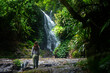 hiker girl stands gazing at an amazing tropical waterfall (elabana falls) in lamington national park near gold coast and brisbane in queensland, australia; rainforest waterfall amidst lush vegetation