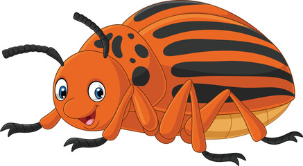 Wall Mural - Cartoon colorado beetle on white background