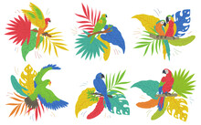 Colorful Set Of Parrots On Tropical Leaves Flat Vector Illustration Isolated.