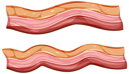 Sticker - Fresh raw bacon isolated