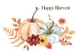 Floral arrangement with pumpkins. Watercolor clipart. Hand-painted orange and blue gourds with autumn foliage, seasonal flowers, and berries. Fall bouquet illustration. PNG clipart.