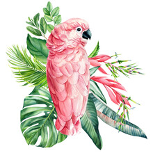 Pink Parrot, Colored Palm Leaves, Flowers. Tropical Composition, Hand Drawn Watercolor Botanical Painting. Jungle Card