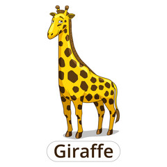 Wall Mural - Giraffe african savannah animal cartoon PNG illustration with transparent background