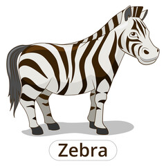 Wall Mural - Zebra african savannah animal cartoon PNG illustration with transparent background