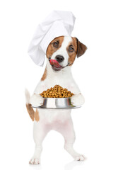 Poster - Licking lips Jack russell terrier puppy wearing a chef's hat holds bowl of dry dogs food. isolated on white background