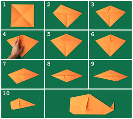 Sticker - Origami art. Making orange paper whale step by step, photo collage on green background