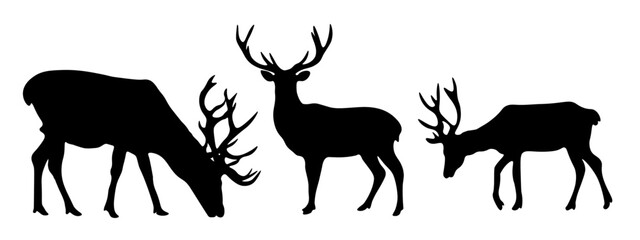 Wall Mural - Forest wildlife hunting adventure nature animal vector symbol icon illustration set collection for logo - Black silhouette of wild deer / stag / hart animals, isolated on white background.