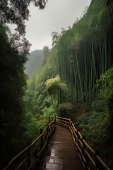  Scenery of Bamboo forest in spring surrounded by silence. Path to bamboo forest. Generative Ai.