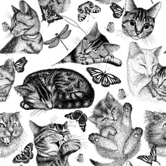 Wall Mural - Seamless cute vector pattern different linear cats and butterflies in engraving style