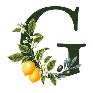 letter G from Alphabet with lemons and olive branches illustration. Perfect graphics for wedding invitations, greeting cards, logos, posters and more.