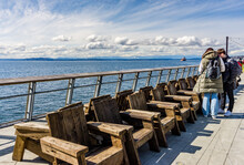 Seattle Waterfront Chairs