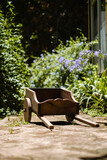Fototapeta Kuchnia - Little wooden pushcraft in garden in front of green leaves