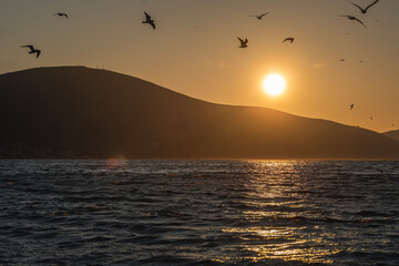 Canvas Print - Silhouettes flock of seagulls over the sea during amazing sunset.