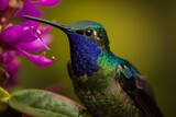 Fototapeta Sawanna - Violet - crowned Woodnymph hovers near a brightly colored flower, its shimmering green and purple feathers Generative AI