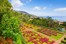Tropical Botanical Garden In Funchal City, Madeira Island, Portugal