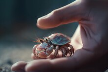  A Person Holding A Small Crab In Their Hand With A Blurry Image Of The Crab In The Back Of The Hand And A Blurry Image Of The Crab In The Background.  Generative Ai