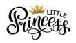 Little Princess lettering. Hand calligraphy text for logo or lettering on clothes.