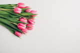 Fototapeta Tulipany - Beautiful fresh pink tulip flowers in full bloom on white background, top view. Copy space for text. Minimalist flat lay with spring blooms.