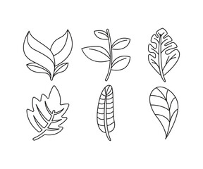 tropical leaf icons set line illustration