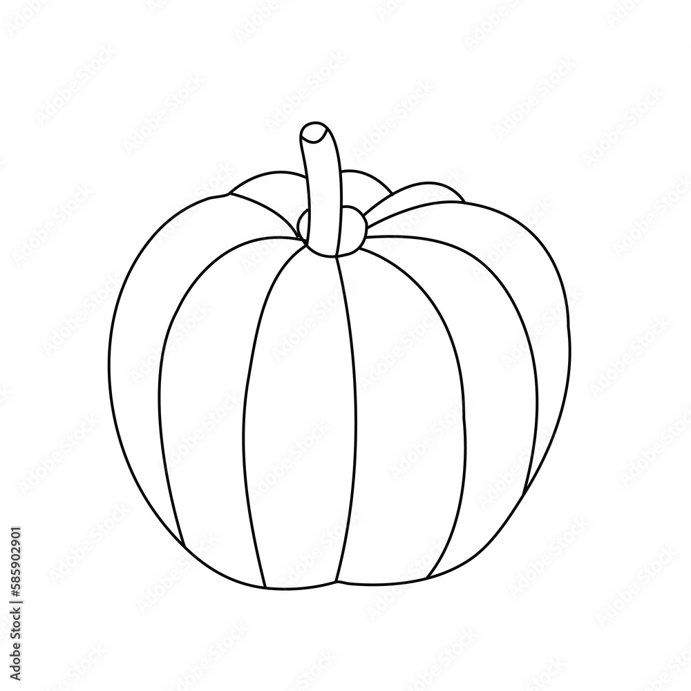 Vector hand drawn pumpkin coloring page illustration art Stock Vector ...